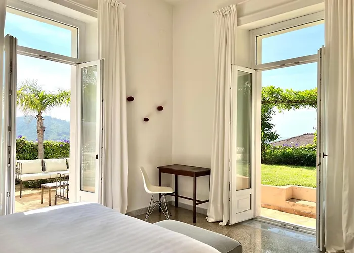 Ipomea - Terra Salerno