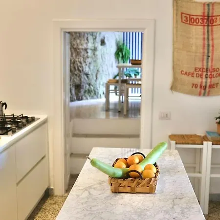 Ipomea - Terra Salerno